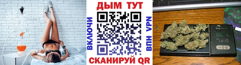 Шишки марихуана SATIVA & INDICA  Новошахтинск 